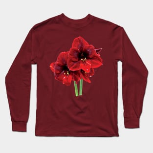 Closeup of Red Amaryllis Long Sleeve T-Shirt